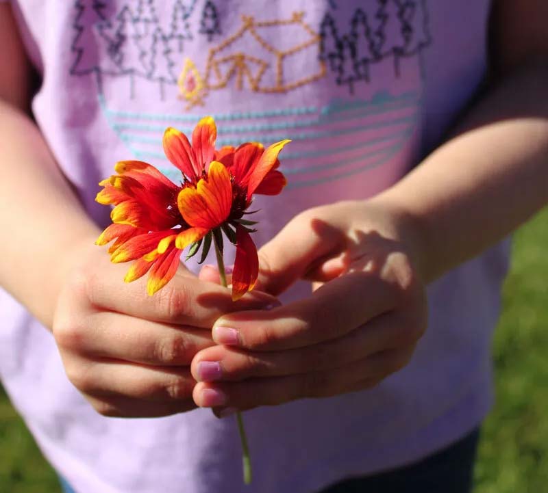 Small girl holding a flower